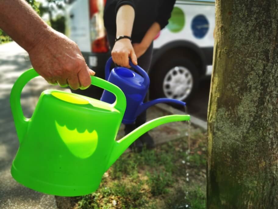 F&Ouml;V beim Gie&szlig;en