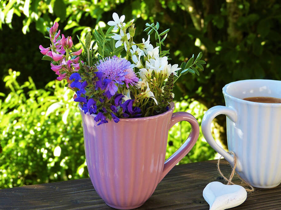 Aktuelles aus dem F&Ouml;V Verbund, Europ&auml;ischer Nachbarschaftstag