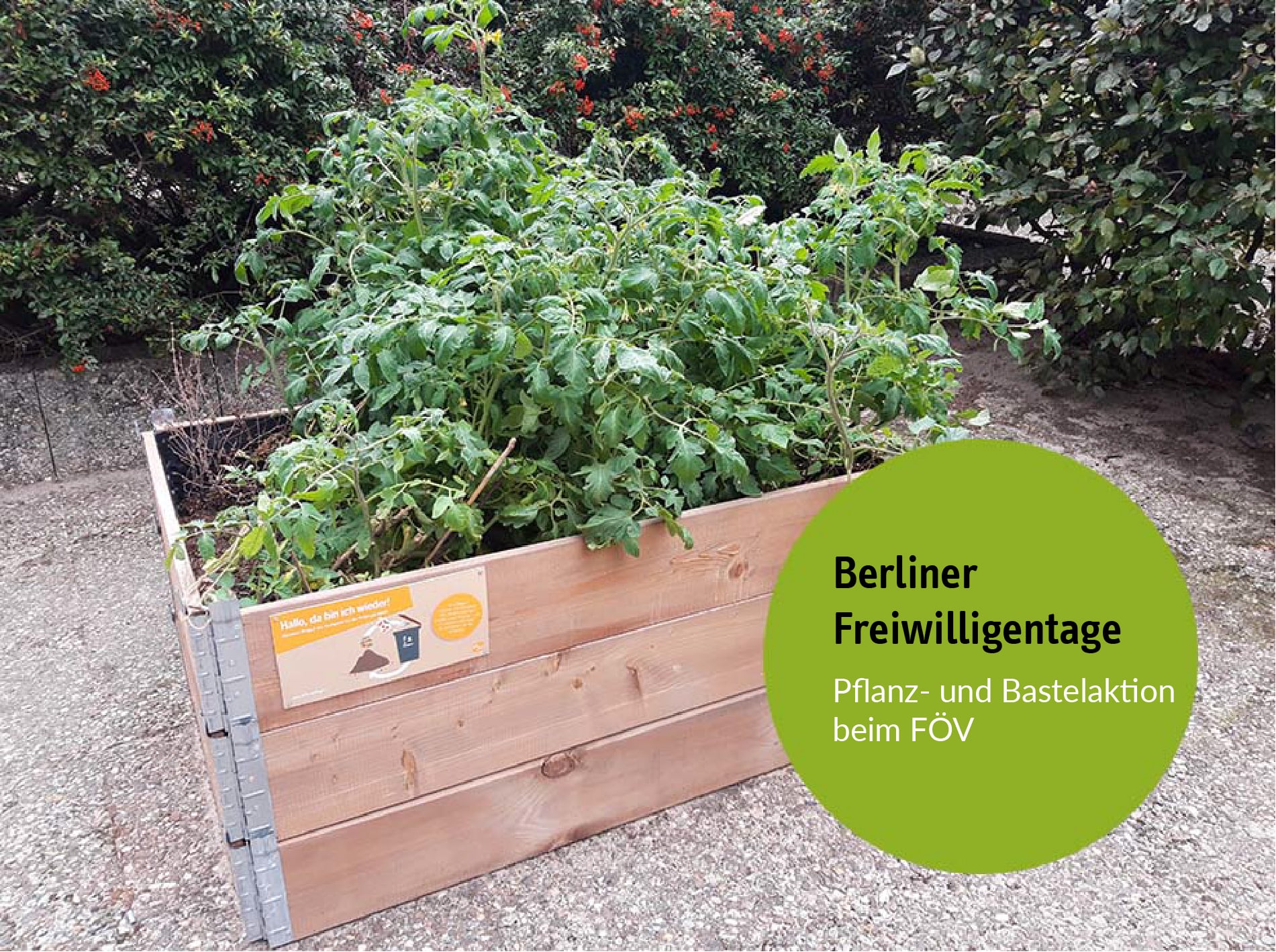 Pflanz- und Bastelaktion
