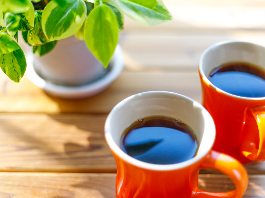 Pflege ohne Sprachbarriere