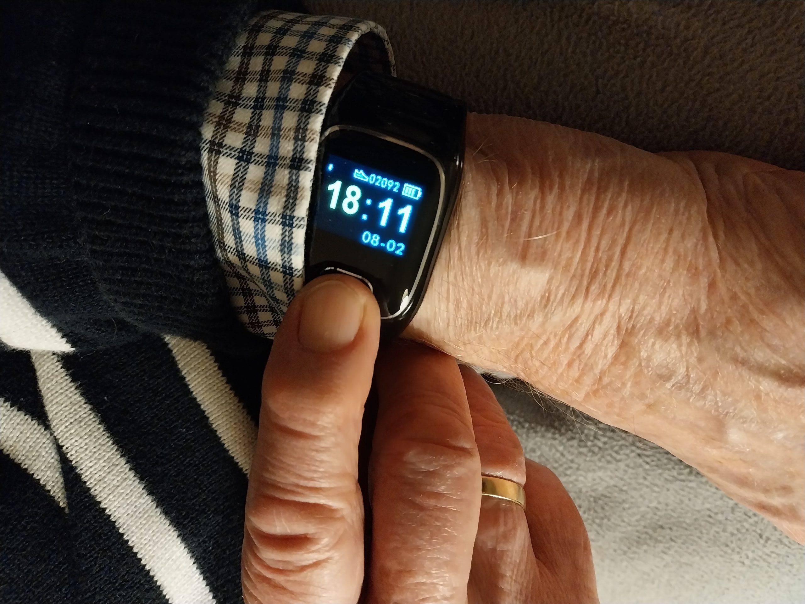 Hausnotruf, Hausnotruf