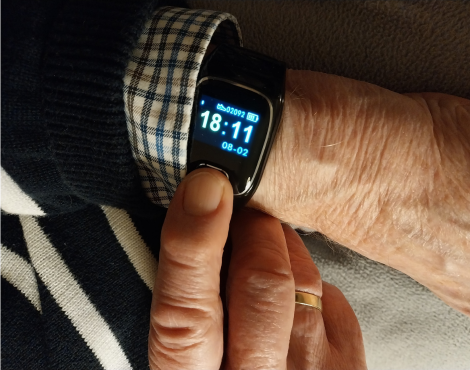 Hausnotruf, Hausnotruf